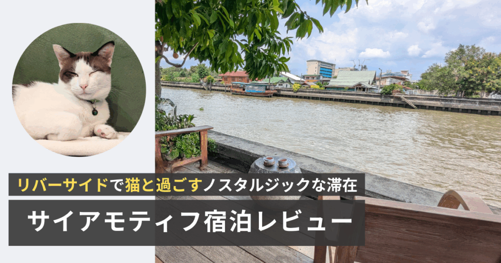 サイアモティフ・ブティック・ホテルのテラスと猫