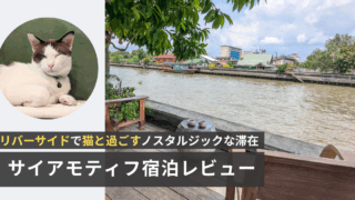 サイアモティフ・ブティック・ホテルのテラスと猫